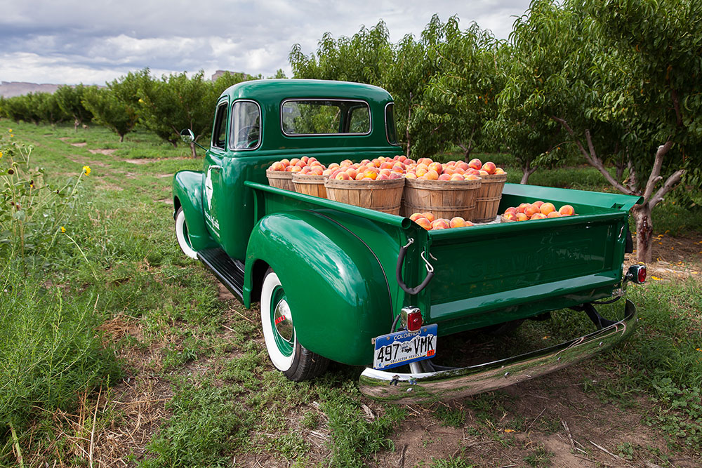 Talbott's Cider Truck | Palisade, CO | Talbott's Cider Co.