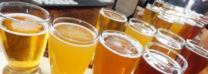 Brewery Tour in Colorado Springs | Rocky Mountain Food Tours