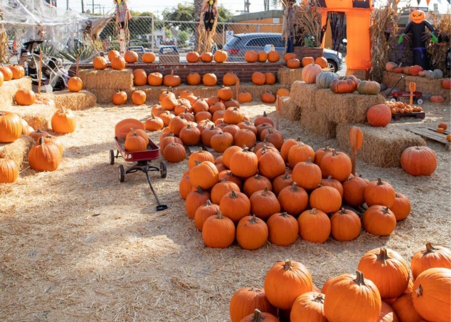 11 Best Pumpkin Patches and Fall Festivals in Colorado - Rocky Mountain