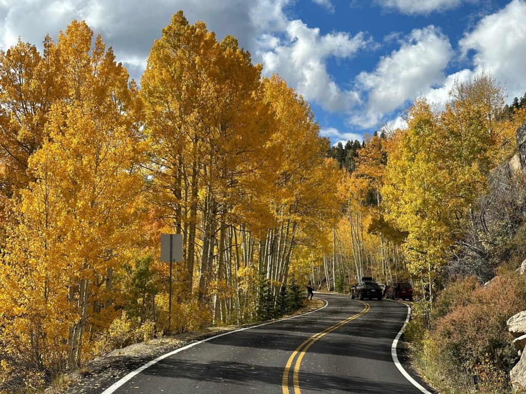 Fall Colors in Colorado | Photo Courtesy of Independence Pass Foundation