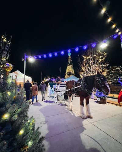 Castle Rock Horse Drawn Carriage Ride During the Holidays