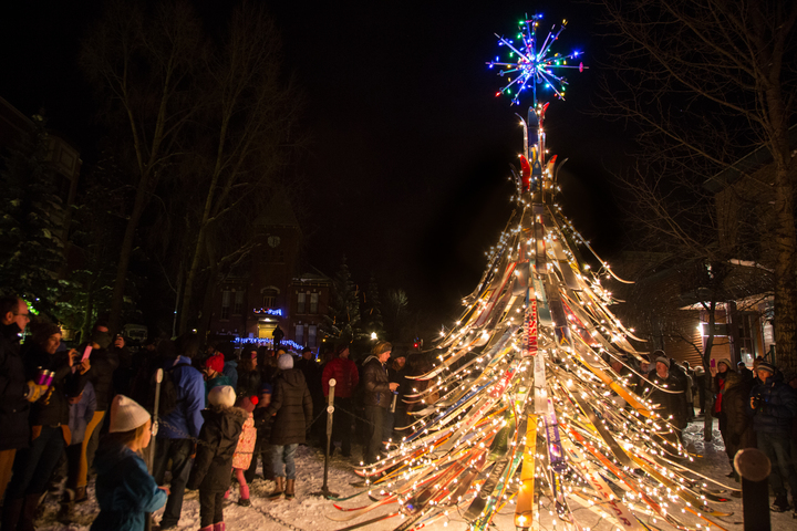 Telluride Ski Tree