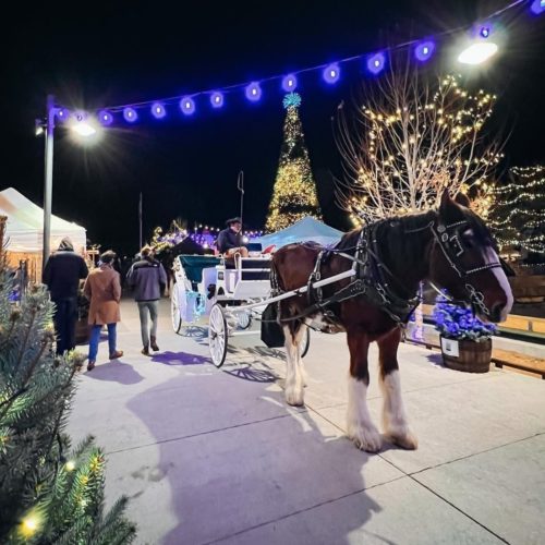 Horse-Drawn Carriage Ride in Castle Rock