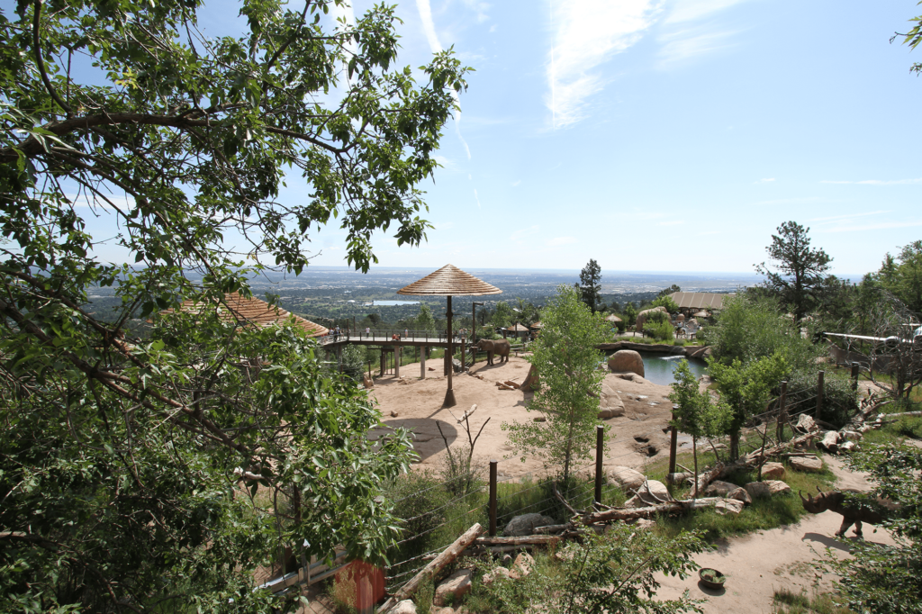 Cheyenne Mountain Zoo Elephants | Photo Credit: Cheyenne Mountain Zoo