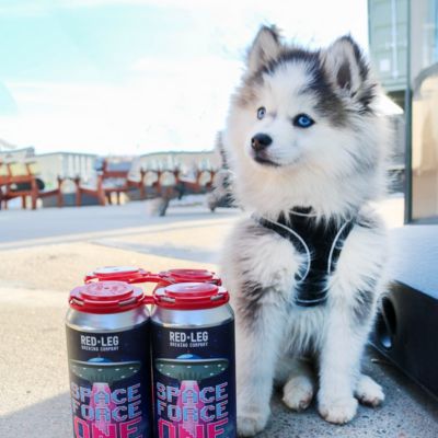 Dog-Friendly breweries restaurants in Colorado Springs