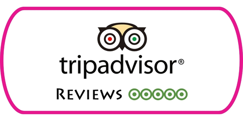 TripAdvisor Review Button