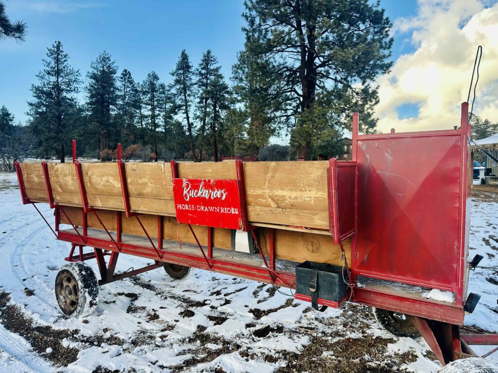 Buckaroos Horse-Drawn Rides Things to do in Pagosa Springs
